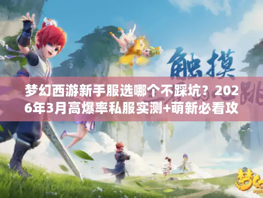 梦幻西游新手服选哪个不踩坑？2026年3月高爆率私服实测+萌新必看攻略