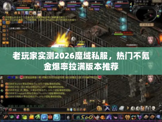 老玩家实测2026魔域私服，热门不氪金爆率拉满版本推荐