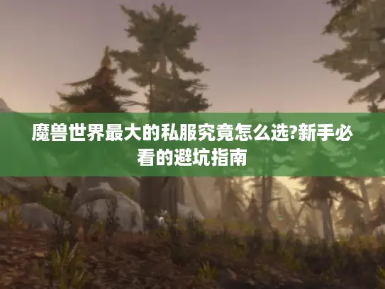 魔兽世界最大的私服究竟怎么选?新手必看的避坑指南