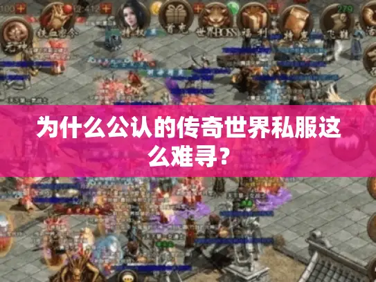 为什么公认的传奇世界私服这么难寻? 为什么公认的传奇世界私服这么难寻?
