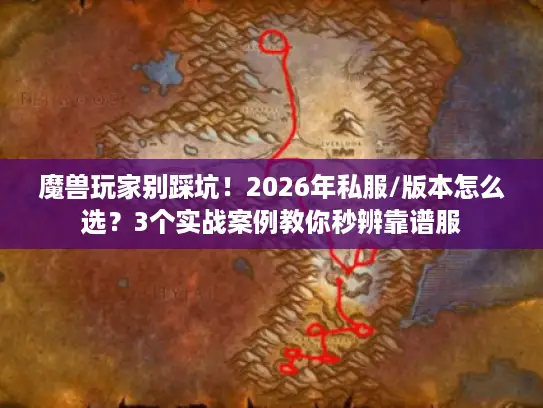 魔兽玩家别踩坑！2026年私服/版本怎么选？3个实战案例教你秒辨靠谱服