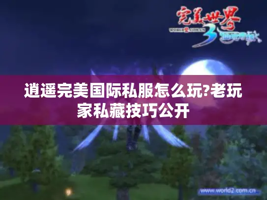 逍遥完美国际私服怎么玩?老玩家私藏技巧公开