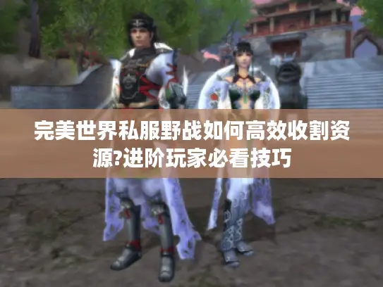完美世界私服野战如何高效收割资源?进阶玩家必看技巧