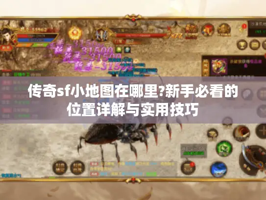 传奇sf小地图在哪里?新手必看的位置详解与实用技巧 传奇sf小地图在哪里?新手必看的位置详解与实用技巧