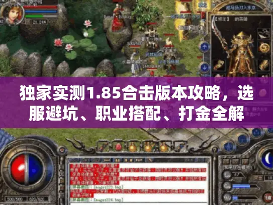 独家实测1.85合击版本攻略，选服避坑、职业搭配、打金全解析