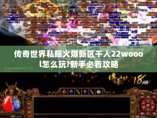 传奇世界私服火爆新区千人22woool怎么玩?新手必看攻略