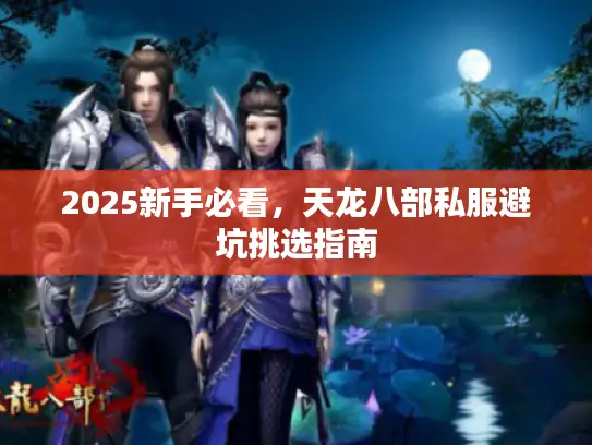 2025新手必看,天龙八部私服避坑挑选指南 2025新手必看,天龙八部私服避坑挑选指南