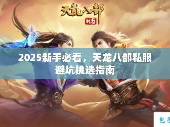 2025新手必看,天龙八部私服避坑挑选指南 2025新手必看,天龙八部私服避坑挑选指南
