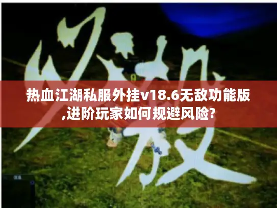 热血江湖私服外挂v18.6无敌功能版,进阶玩家如何规避风险?