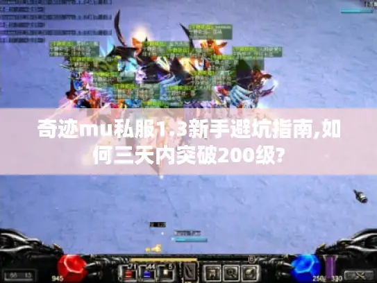奇迹mu私服1.3新手避坑指南,如何三天内突破200级?