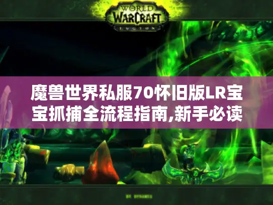 魔兽世界私服70怀旧版LR宝宝抓捕全流程指南,新手必读 魔兽世界私服70怀旧版LR宝宝抓捕全流程指南,新手必读