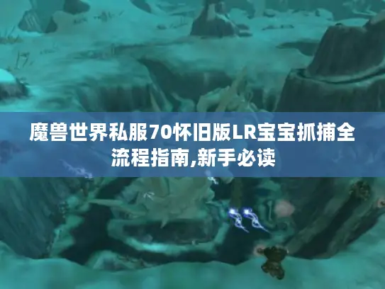 魔兽世界私服70怀旧版LR宝宝抓捕全流程指南,新手必读 魔兽世界私服70怀旧版LR宝宝抓捕全流程指南,新手必读