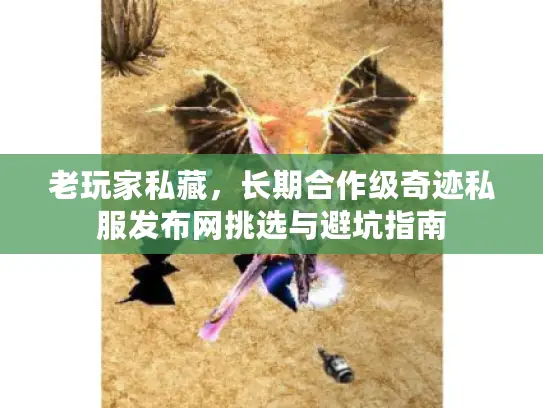 老玩家私藏，长期合作级奇迹私服发布网挑选与避坑指南
