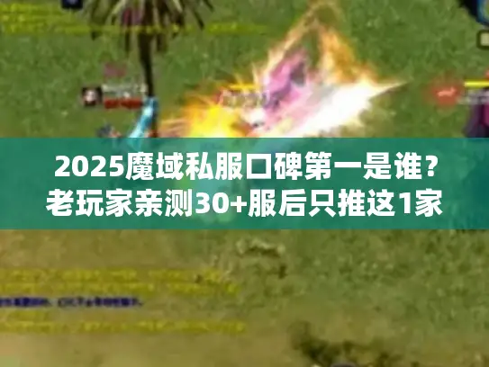2025魔域私服口碑第一是谁?老玩家亲测30+服后只推这1家 2025魔域私服口碑第一是谁?老玩家亲测30+服后只推这1家