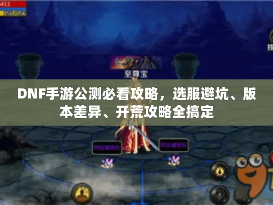 DNF手游公测必看攻略，选服避坑、版本差异、开荒攻略全搞定