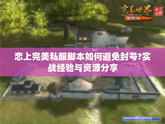 恋上完美私服脚本如何避免封号?实战经验与资源分享