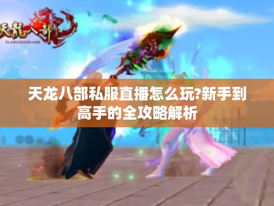 天龙八部私服直播怎么玩?新手到高手的全攻略解析