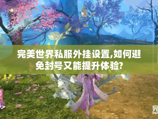 完美世界私服外挂设置,如何避免封号又能提升体验?