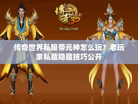 传奇世界私服带元神怎么玩？老玩家私藏隐藏技巧公开