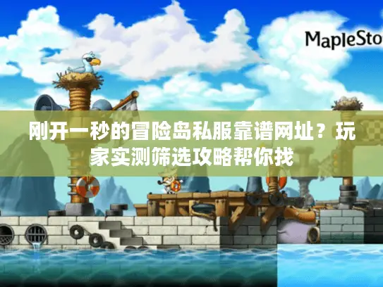 刚开一秒的冒险岛私服靠谱网址？玩家实测筛选攻略帮你找