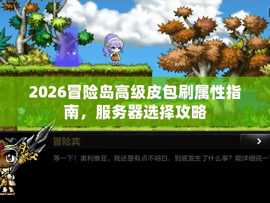 2026冒险岛高级皮包刷属性指南,服务器选择攻略 2026冒险岛高级皮包刷属性指南,服务器选择攻略