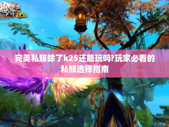 完美私服除了k25还能玩吗?玩家必看的私服选择指南
