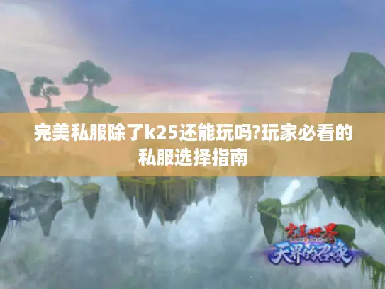 完美私服除了k25还能玩吗?玩家必看的私服选择指南