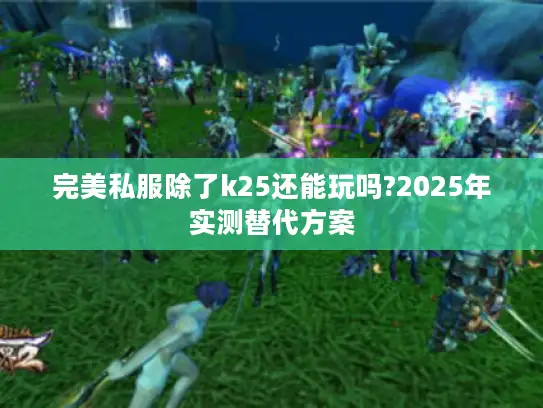 完美私服除了k25还能玩吗?2025年实测替代方案