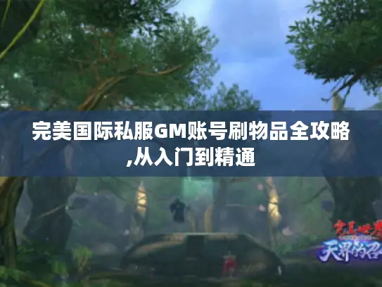 完美国际私服GM账号刷物品全攻略,从入门到精通 完美国际私服GM账号刷物品全攻略,从入门到精通