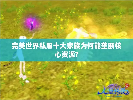 完美世界私服十大家族为何能垄断核心资源?