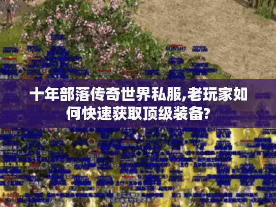 十年部落传奇世界私服,老玩家如何快速获取顶级装备?