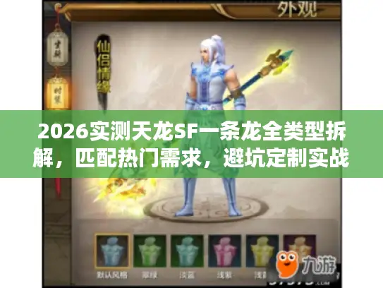 2026实测天龙SF一条龙全类型拆解，匹配热门需求，避坑定制实战指南