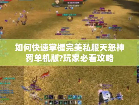 如何快速掌握完美私服天怒神罚单机版?玩家必看攻略