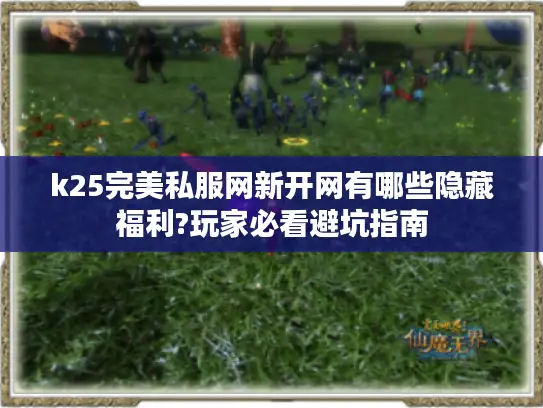 k25完美私服网新开网有哪些隐藏福利?玩家必看避坑指南