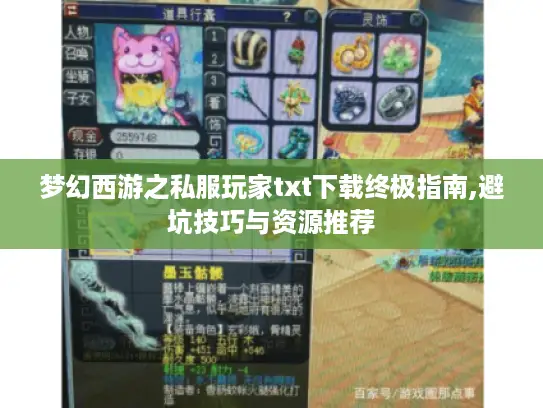 梦幻西游之私服玩家txt下载终极指南,避坑技巧与资源推荐 梦幻西游之私服玩家txt下载终极指南,避坑技巧与资源推荐