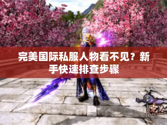 完美国际私服人物看不见?新手快速排查步骤 完美国际私服人物看不见?新手快速排查步骤