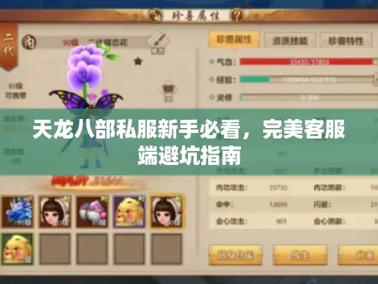 天龙八部私服新手必看，完美客服端避坑指南