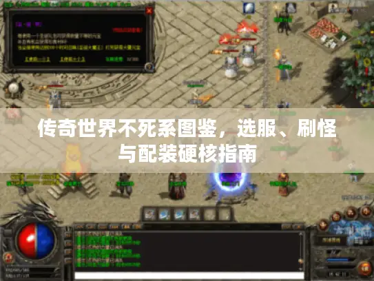 传奇世界不死系图鉴，选服、刷怪与配装硬核指南