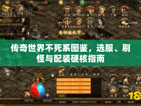 传奇世界不死系图鉴，选服、刷怪与配装硬核指南