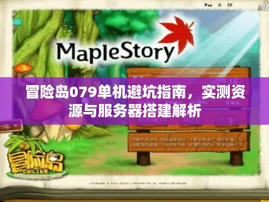 冒险岛079单机避坑指南，实测资源与服务器搭建解析