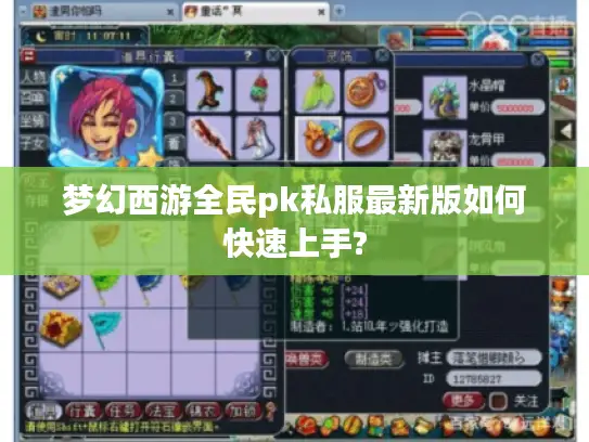 梦幻西游全民pk私服最新版如何快速上手?