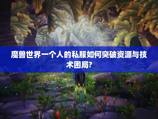 魔兽世界一个人的私服如何突破资源与技术困局?