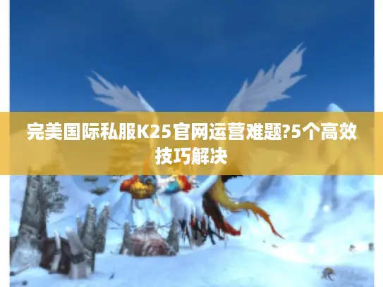 完美国际私服K25官网运营难题?5个高效技巧解决 完美国际私服K25官网运营难题?5个高效技巧解决