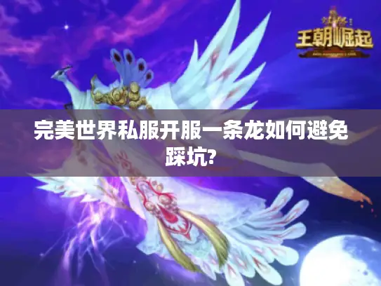完美世界私服开服一条龙如何避免踩坑?