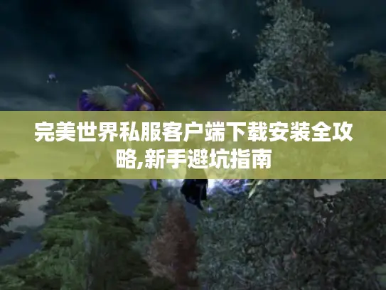 完美世界私服客户端下载安装全攻略,新手避坑指南