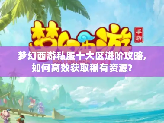 梦幻西游私服十大区进阶攻略,如何高效获取稀有资源?