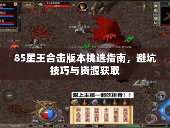 85星王合击版本挑选指南,避坑技巧与资源获取 85星王合击版本挑选指南,避坑技巧与资源获取
