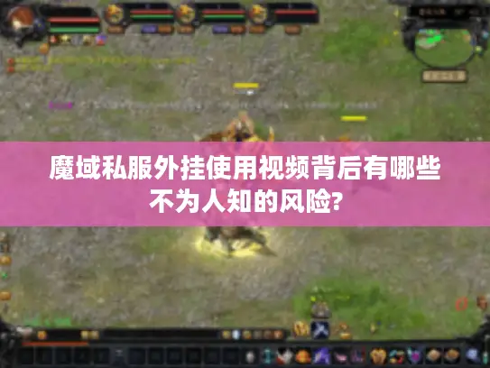 魔域私服外挂使用视频背后有哪些不为人知的风险?
