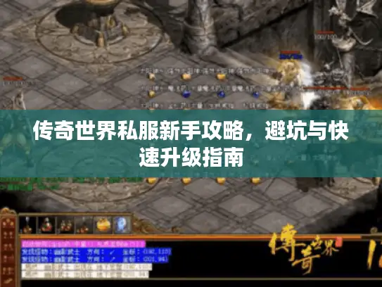 传奇世界私服新手攻略，避坑与快速升级指南