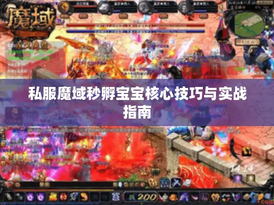 私服魔域秒孵宝宝核心技巧与实战指南